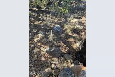 54 Schultz Road, Concho, AZ 85924 - Photo 21