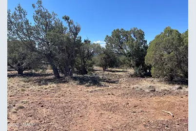 54 Schultz Road, Concho, AZ 85924 - Photo 1