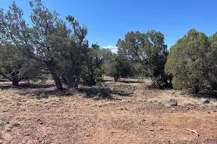 54 Schultz Rd, Concho, AZ 85924 - Photo 1