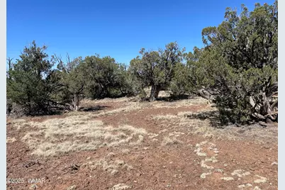 54 Schultz Road, Concho, AZ 85924 - Photo 3