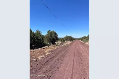 54 Schultz Road, Concho, AZ 85924 - Photo 13