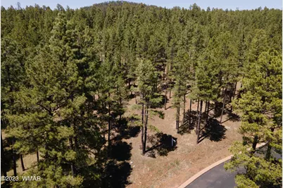 9586 Sierra Springs Way, Pinetop, AZ 85935 - Photo 3