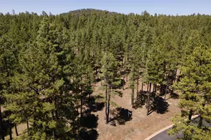 9586 Sierra Springs Way, Pinetop, AZ 85935 - Photo 1