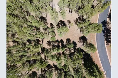 9586 Sierra Springs Way, Pinetop, AZ 85935 - Photo 3