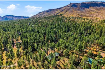 3 Cr 2190, Alpine, AZ 85920 - Photo 35