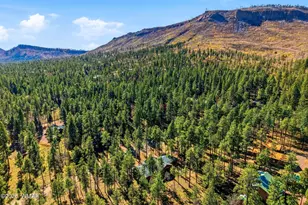 3 Cr 2190, Alpine, AZ 85920 - Photo 35