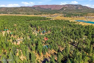 3 Cr 2190, Alpine, AZ 85920 - Photo 33