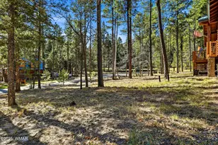 3 Cr 2190, Alpine, AZ 85920 - Photo 5