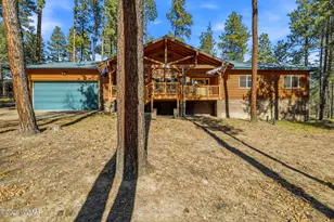 3 Cr 2190, Alpine, AZ 85920 - Photo 3