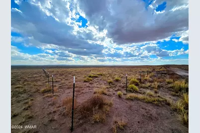 Lot 299 Carrizo Ranches, Saint Johns, AZ 85936 - Photo 1