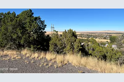 Tbd S Skyline Drive, Eagar, AZ 85925 - Photo 3