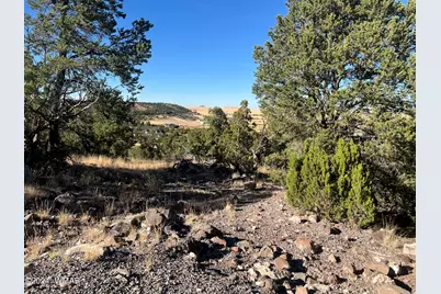 Tbd S Skyline Drive, Eagar, AZ 85925 - Photo 1