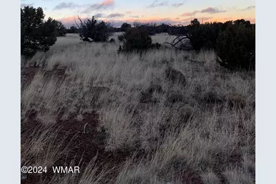 Lot 1916 Lot 1916 Mills Lane Rd, Concho, AZ 85924 - Photo 1