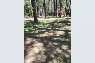 6 County Road 1007, Unit 6 #6, Greer, AZ 85927 - Photo 13