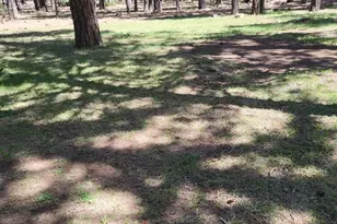 6 County Road 1007 Unit 6, Greer, AZ 85927 - Photo 13