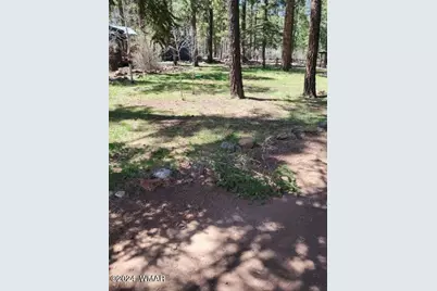 6 County Road 1007, Unit 6 #6, Greer, AZ 85927 - Photo 17