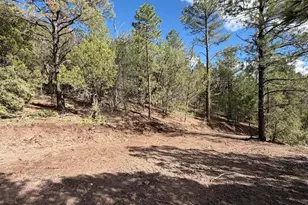 75 County Road 2108, Nutrioso, AZ 85932 - Photo 1