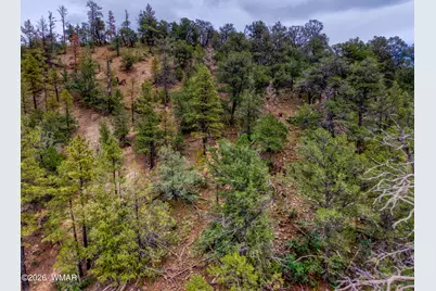 75 County Road 2108, Nutrioso, AZ 85932 - Photo 3