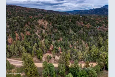 75 County Road 2108, Nutrioso, AZ 85932 - Photo 11