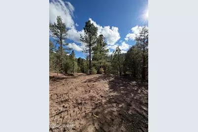 75 County Road 2108, Nutrioso, AZ 85932 - Photo 7