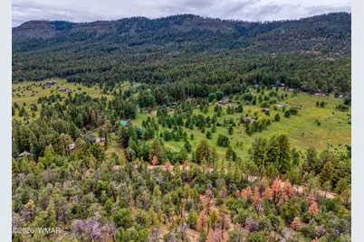 75 County Road 2108, Nutrioso, AZ 85932 - Photo 9
