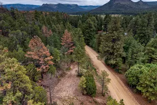 75 County Road 2108, Nutrioso, AZ 85932 - Photo 1