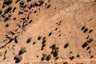 9645 Texas Lane, Show Low, AZ 85901 - Photo 15