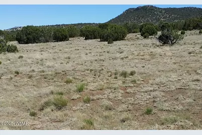 84 Co Rd 3035, Concho, AZ 85924 - Photo 1