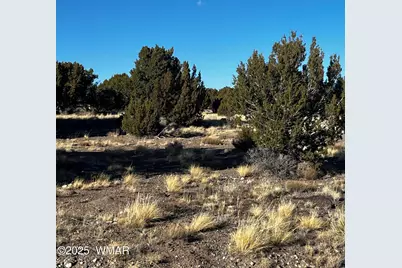 38 8626, Concho, AZ 85924 - Photo 5