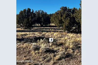 38 8626, Concho, AZ 85924 - Photo 1