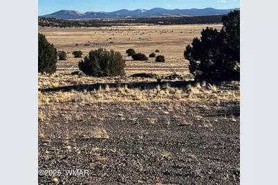 38 8626, Concho, AZ 85924 - Photo 3