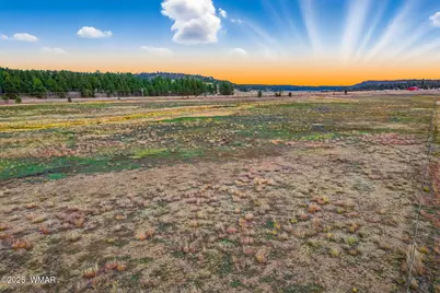 42856 Us-180, Alpine, AZ 85920 - Photo 9