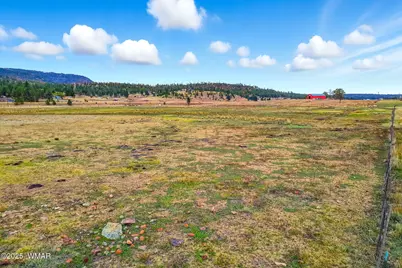 42856 Us-180, Alpine, AZ 85920 - Photo 11