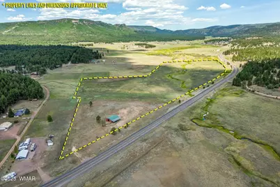 42856 Us-180, Alpine, AZ 85920 - Photo 13