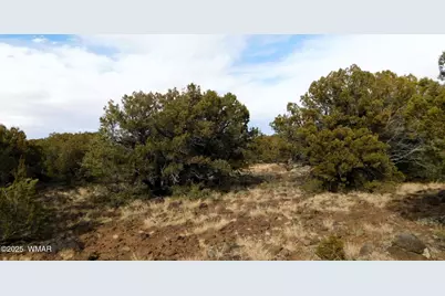 10 County Road N 3071, Vernon, AZ 85940 - Photo 5