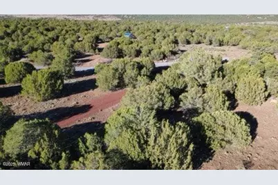 10 County Road N 3071, Vernon, AZ 85940 - Photo 13