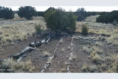 Tbd Heber Unsubdivided, Heber, AZ 85928 - Photo 29