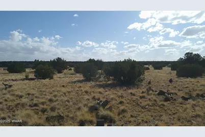 Tbd Heber Unsubdivided, Heber, AZ 85928 - Photo 27