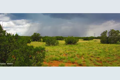 Tbd Heber Unsubdivided, Heber, AZ 85928 - Photo 41