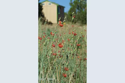 Tbd Heber Unsubdivided, Heber, AZ 85928 - Photo 45