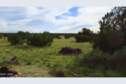 Tbd Heber Unsubdivided, Heber, AZ 85928 - Photo 39