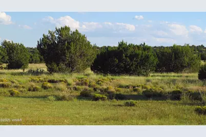 Tbd Heber Unsubdivided, Heber, AZ 85928 - Photo 43