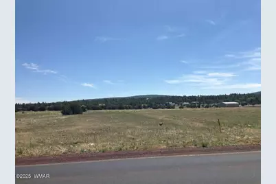 2457 N Porter Mountain Road, Lakeside, AZ 85929 - Photo 13