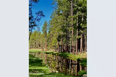 2457 N Porter Mountain Road, Lakeside, AZ 85929 - Photo 15