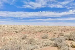 Tbd 105-61-405 Az Rancho 106, Holbrook, AZ 86025 - Photo 1