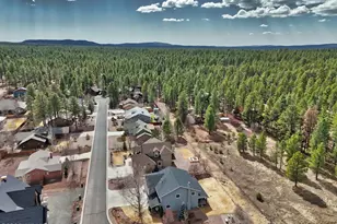2632 S Forest Meadow Ln, Pinetop, AZ 85935 - Photo 59