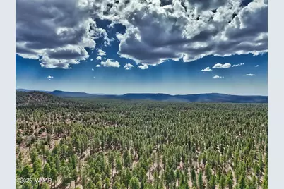 2632 S Forest Meadow Lane, Pinetop, AZ 85935 - Photo 57