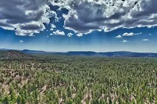 2632 S Forest Meadow Ln, Pinetop, AZ 85935 - Photo 57