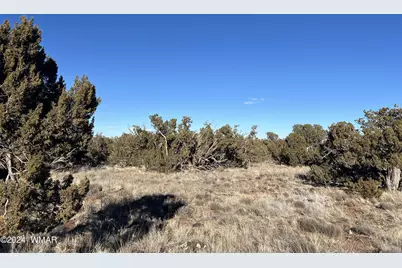 2036 Sitgreaves Ranch Road, Show Low, AZ 85901 - Photo 15