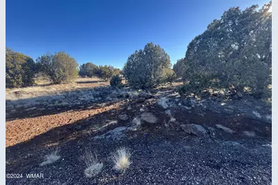 2036 Sitgreaves Ranch Road, Show Low, AZ 85901 - Photo 11